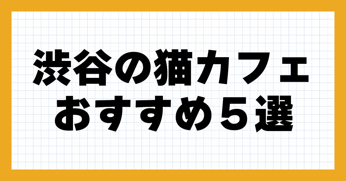 【2024年】渋谷の猫カフェおすすめ5選！料金設定、安い＆子供OKなど紹介